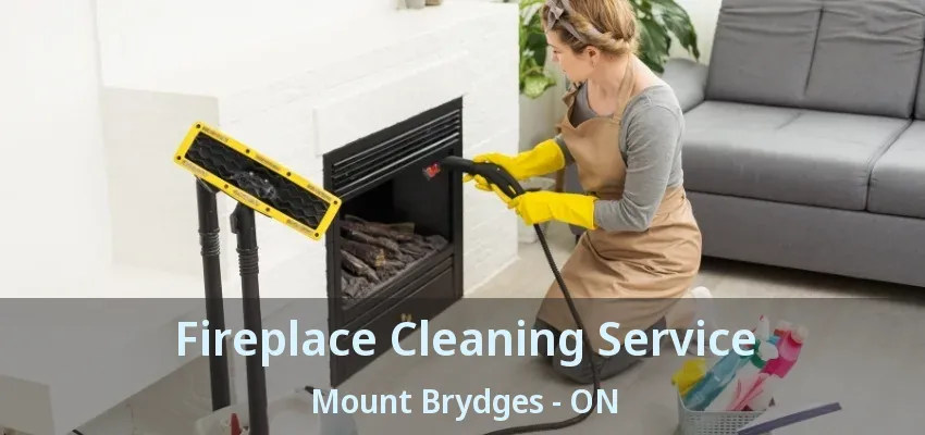 Fireplace Cleaning Service Mount Brydges - ON Fireplace Cleaning Service Mount Brydges - ON