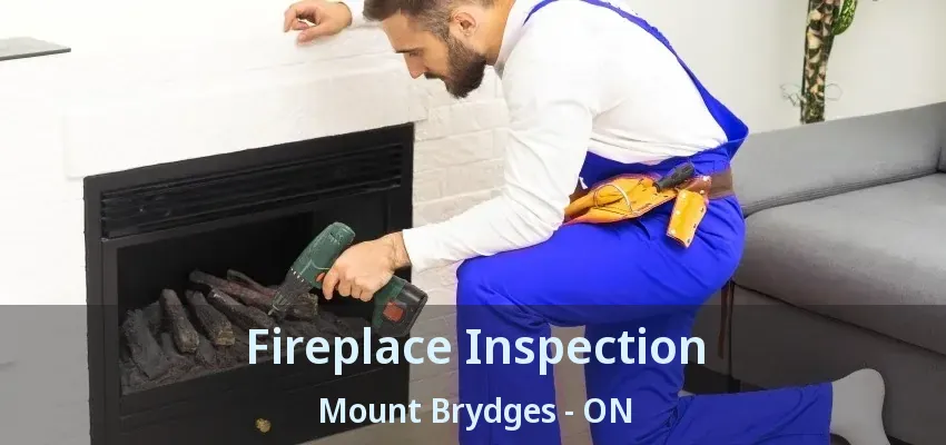 Fireplace Inspection Mount Brydges - ON Fireplace Inspection Mount Brydges - ON
