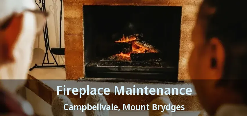 Fireplace Maintenance Campbellvale, Mount Brydges - ON