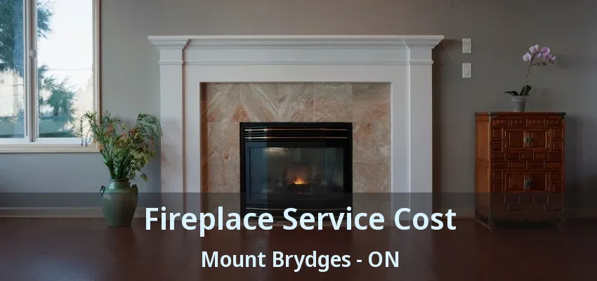 Fireplace Service Cost Mount Brydges - ON Fireplace Service Cost Mount Brydges - ON
