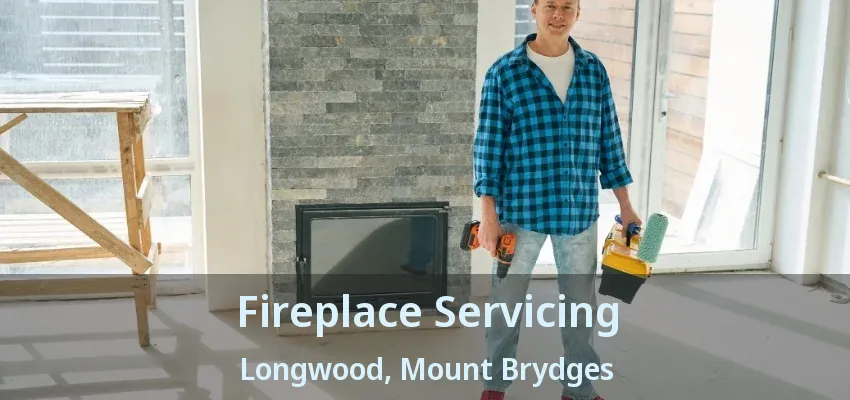 Fireplace Servicing Longwood, Mount Brydges - ON