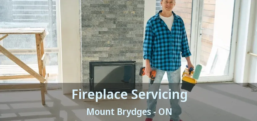 Fireplace Servicing Mount Brydges - ON