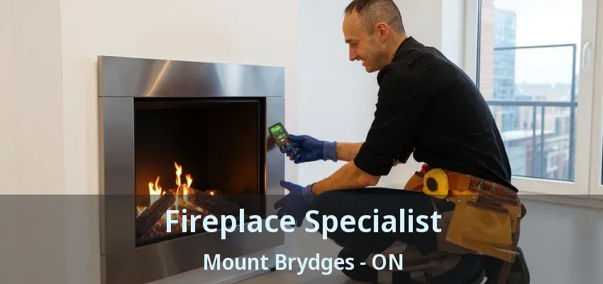 Fireplace Specialist Mount Brydges - ON