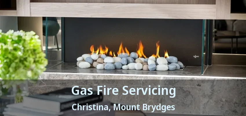 Gas Fire Servicing Christina, Mount Brydges - ON Gas Fire Servicing Christina, Mount Brydges - ON