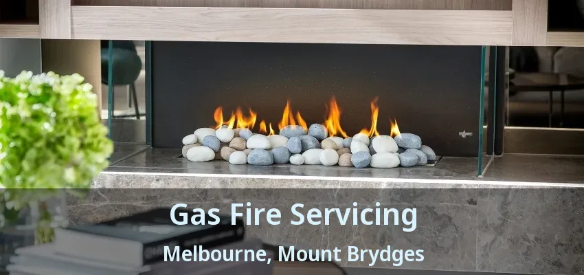 Gas Fire Servicing Melbourne, Mount Brydges - ON
