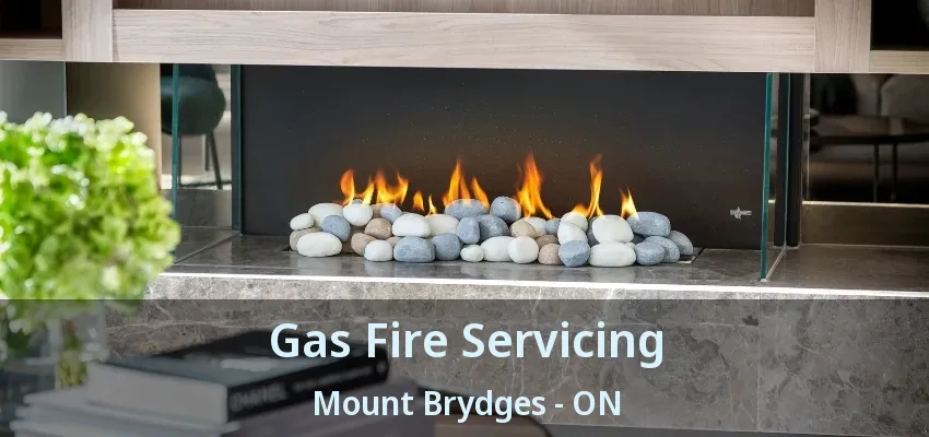 Gas Fire Servicing Mount Brydges - ON Gas Fire Servicing Mount Brydges - ON