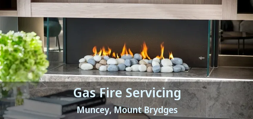 Gas Fire Servicing Muncey, Mount Brydges - ON Gas Fire Servicing Muncey, Mount Brydges - ON