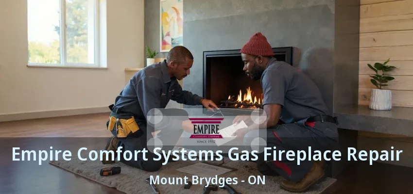 Empire Comfort Systems Gas Fireplace Repair Mount Brydges - ON Empire Comfort Systems Gas Fireplace Repair Mount Brydges - ON