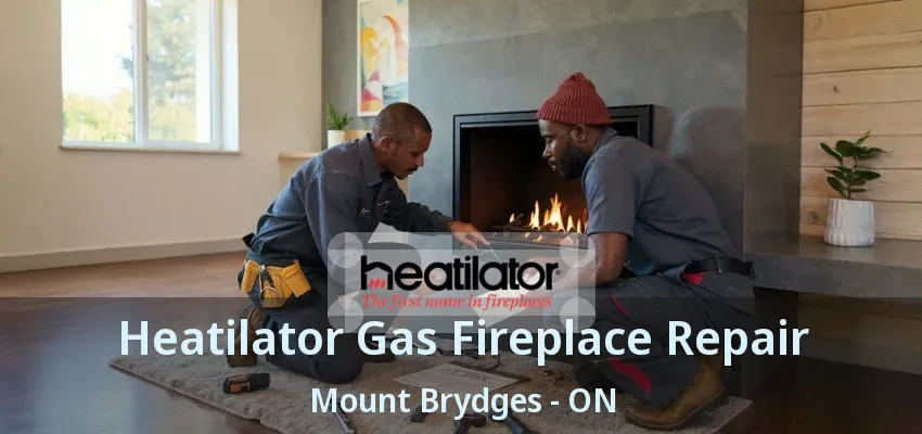 Heatilator Gas Fireplace Repair Mount Brydges - ON Heatilator Gas Fireplace Repair Mount Brydges - ON