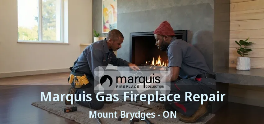 Marquis Gas Fireplace Repair Mount Brydges - ON Marquis Gas Fireplace Repair Mount Brydges - ON
