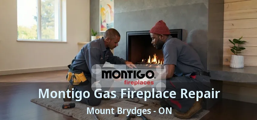 Montigo Gas Fireplace Repair Mount Brydges - ON Montigo Gas Fireplace Repair Mount Brydges - ON