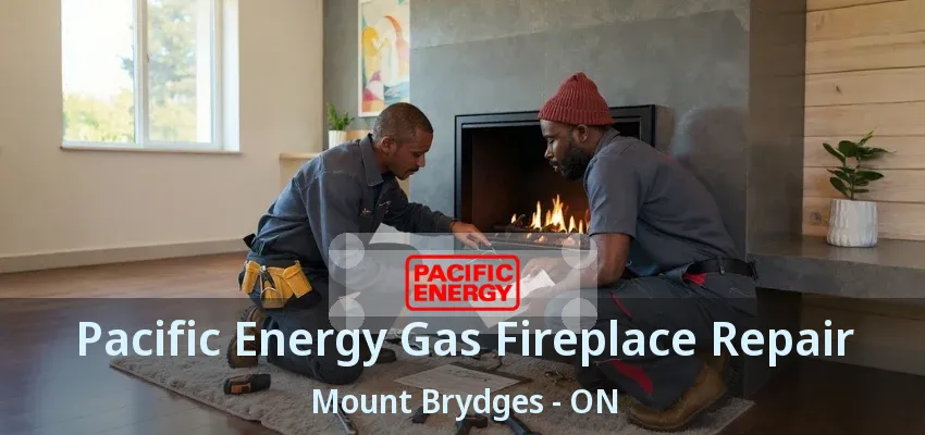 Pacific Energy Gas Fireplace Repair Mount Brydges - ON Pacific Energy Gas Fireplace Repair Mount Brydges - ON
