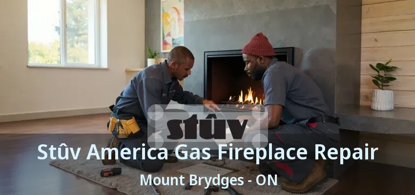Stûv America Gas Fireplace Repair Mount Brydges - ON Stûv America Gas Fireplace Repair Mount Brydges - ON