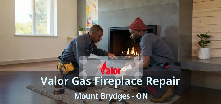 Valor Gas Fireplace Repair Mount Brydges - ON Valor Gas Fireplace Repair Mount Brydges - ON