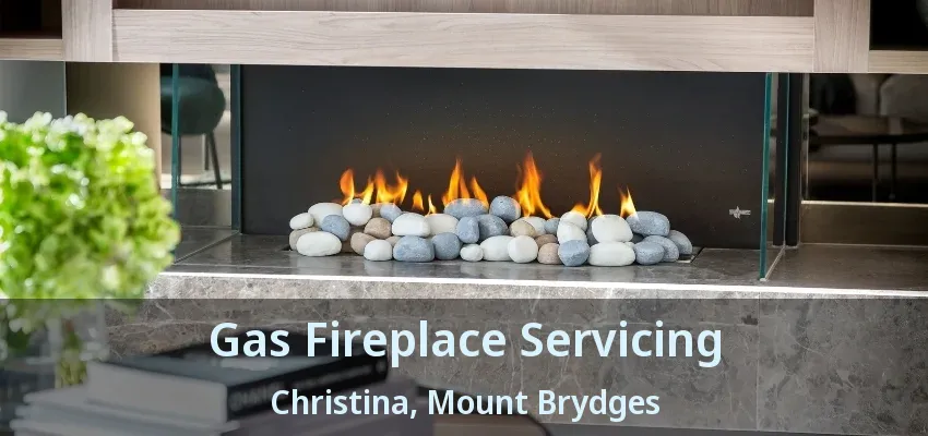 Gas Fireplace Servicing Christina, Mount Brydges - ON