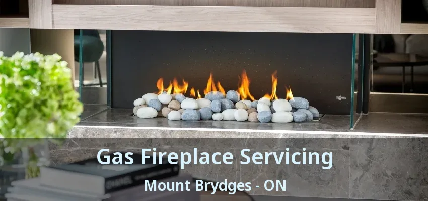 Gas Fireplace Servicing Mount Brydges - ON Gas Fireplace Servicing Mount Brydges - ON