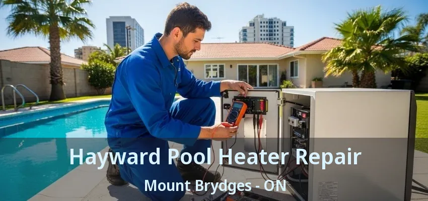 Hayward Pool Heater Repair Mount Brydges - ON Hayward Pool Heater Repair Mount Brydges - ON