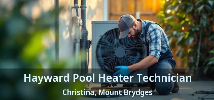 Hayward Pool Heater Technician Christina, Mount Brydges - ON