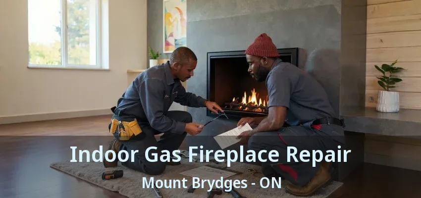 Indoor Gas Fireplace Repair Mount Brydges - ON