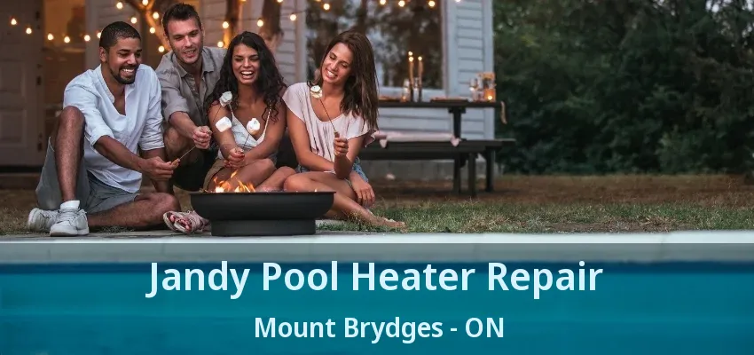 Jandy Pool Heater Repair Mount Brydges - ON Jandy Pool Heater Repair Mount Brydges - ON