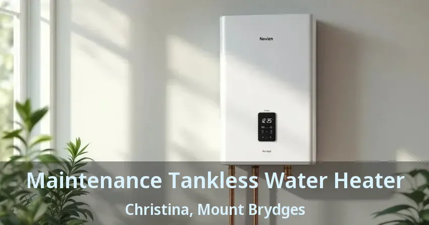 Maintenance Tankless Water Heater Christina, Mount Brydges - ON Maintenance Tankless Water Heater Christina, Mount Brydges - ON