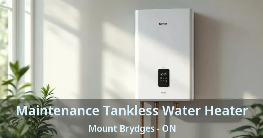Maintenance Tankless Water Heater Mount Brydges - ON Maintenance Tankless Water Heater Mount Brydges - ON