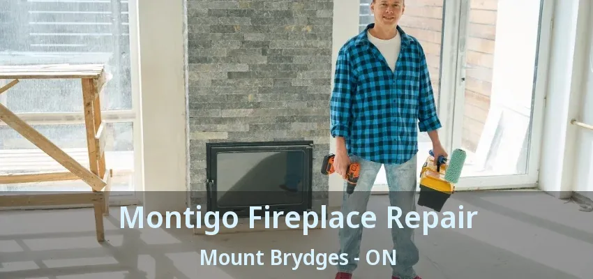 Montigo Fireplace Repair Mount Brydges - ON Montigo Fireplace Repair Mount Brydges - ON