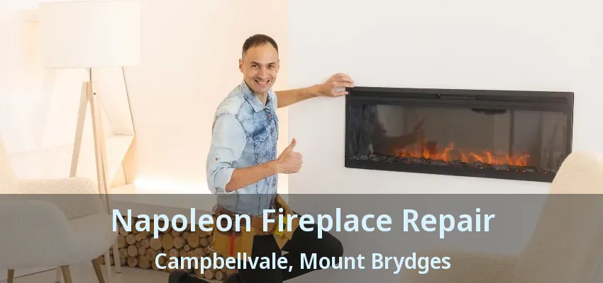 Napoleon Fireplace Repair Campbellvale, Mount Brydges - ON