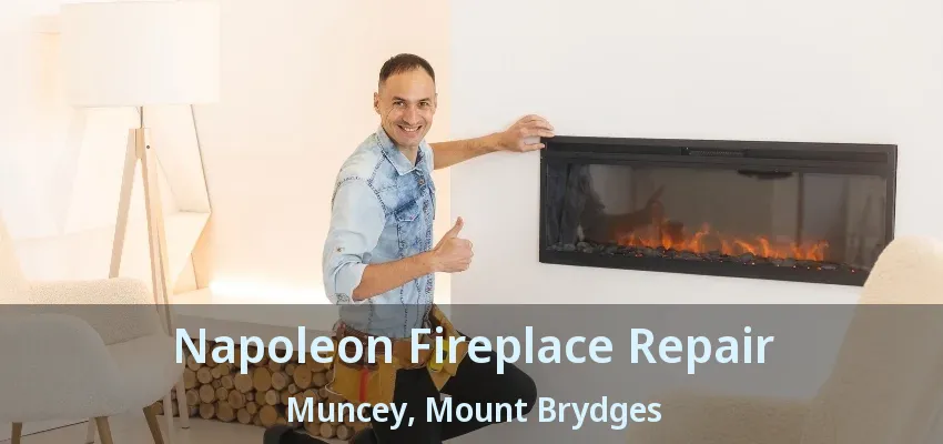 Napoleon Fireplace Repair Muncey, Mount Brydges - ON