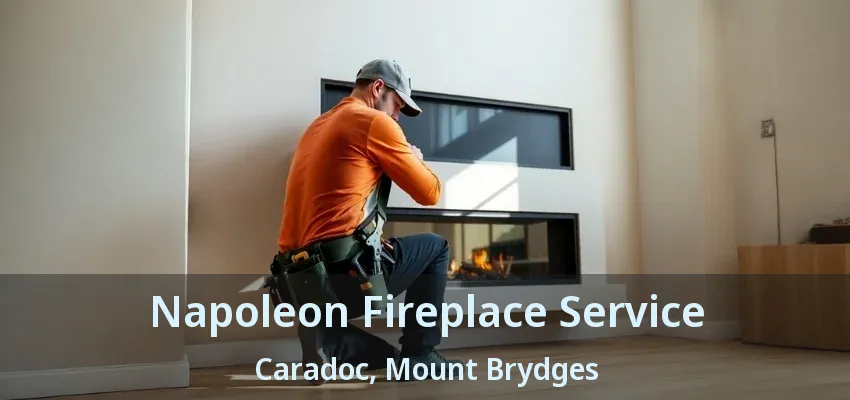 Napoleon Fireplace Service Caradoc, Mount Brydges - ON