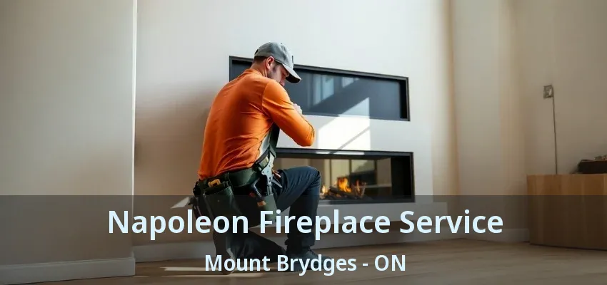 Napoleon Fireplace Service Mount Brydges - ON Napoleon Fireplace Service Mount Brydges - ON