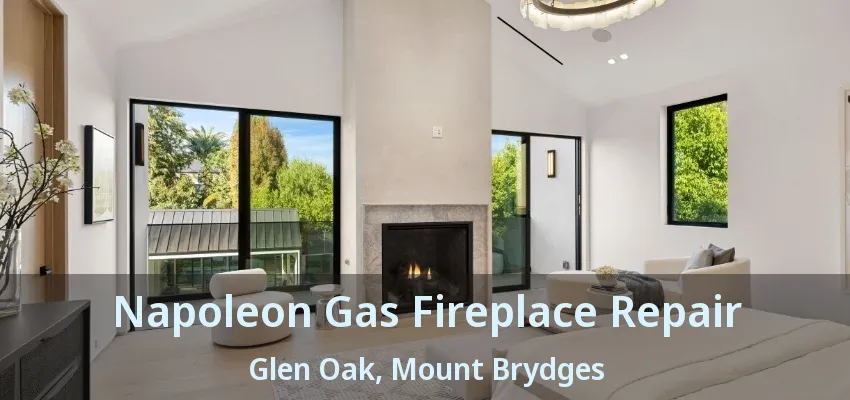 Napoleon Gas Fireplace Repair Glen Oak, Mount Brydges - ON