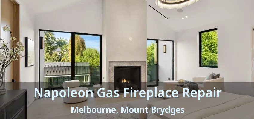 Napoleon Gas Fireplace Repair Melbourne, Mount Brydges - ON