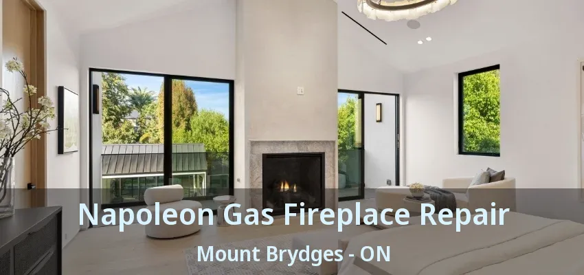 Napoleon Gas Fireplace Repair Mount Brydges - ON