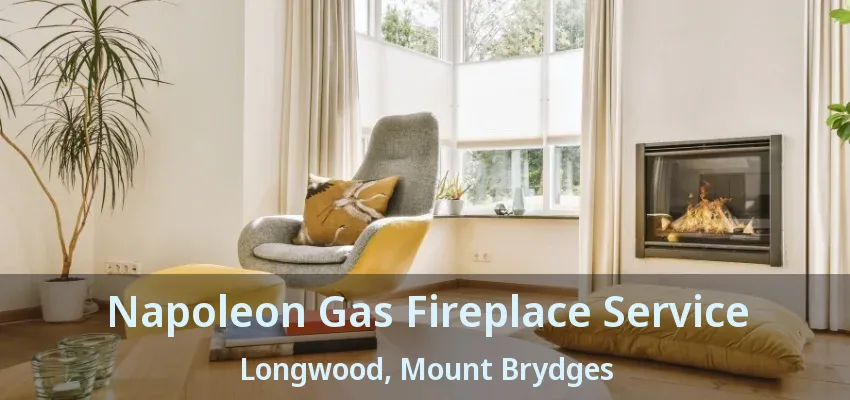 Napoleon Gas Fireplace Service Longwood, Mount Brydges - ON