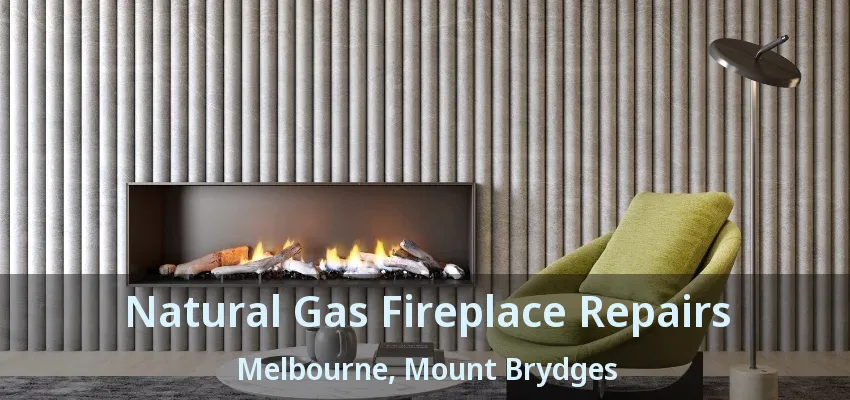 Natural Gas Fireplace Repairs Melbourne, Mount Brydges - ON