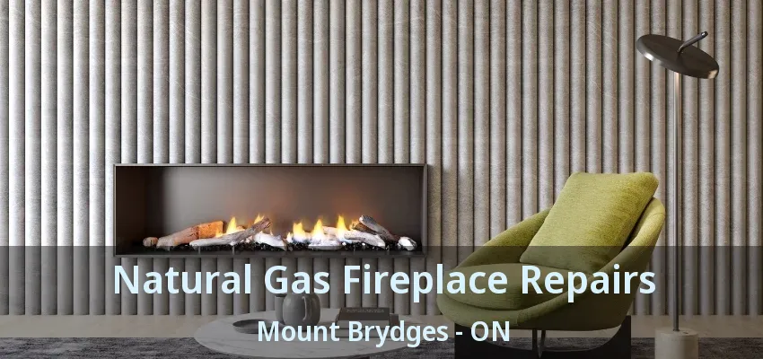 Natural Gas Fireplace Repairs Mount Brydges - ON