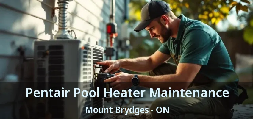 Pentair Pool Heater Maintenance Mount Brydges - ON Pentair Pool Heater Maintenance Mount Brydges - ON