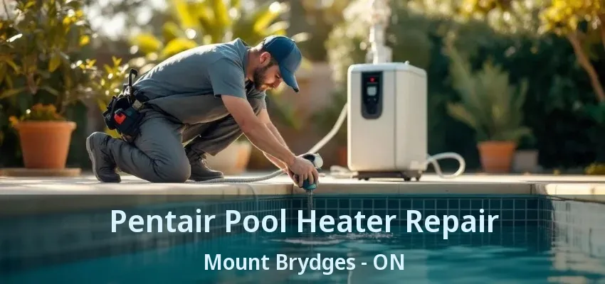 Pentair Pool Heater Repair Mount Brydges - ON