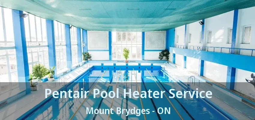 Pentair Pool Heater Service Mount Brydges - ON Pentair Pool Heater Service Mount Brydges - ON