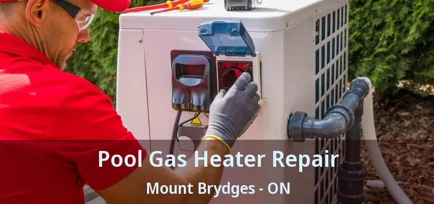 Pool Gas Heater Repair Mount Brydges - ON