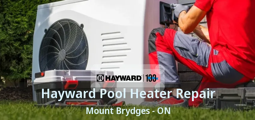 Hayward Pool Heater Repair Mount Brydges - ON Hayward Pool Heater Repair Mount Brydges - ON