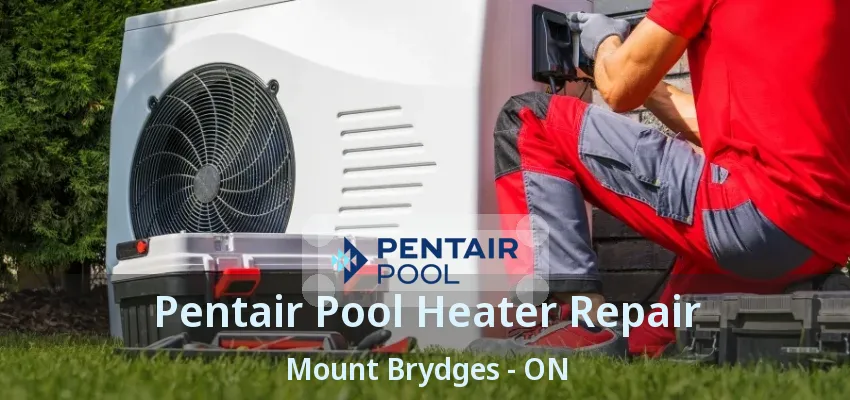 Pentair Pool Heater Repair Mount Brydges - ON Pentair Pool Heater Repair Mount Brydges - ON