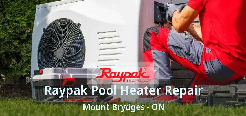Raypak Pool Heater Repair Mount Brydges - ON Raypak Pool Heater Repair Mount Brydges - ON