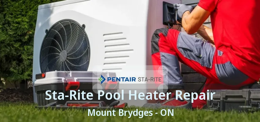 Sta-Rite Pool Heater Repair Mount Brydges - ON Sta-Rite Pool Heater Repair Mount Brydges - ON