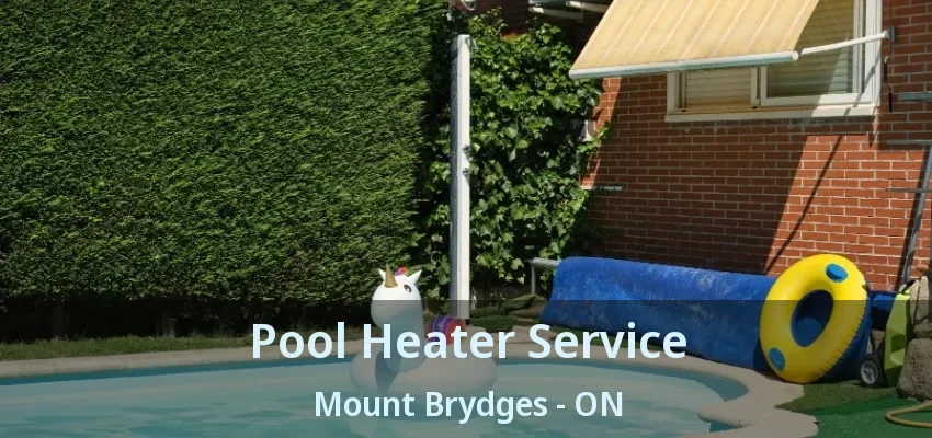 Pool Heater Service Mount Brydges - ON