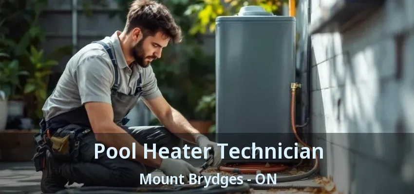 Pool Heater Technician Mount Brydges - ON Pool Heater Technician Mount Brydges - ON