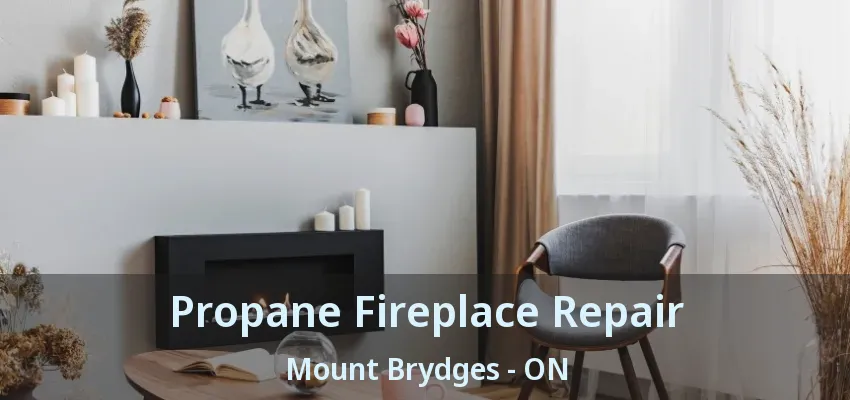 Propane Fireplace Repair Mount Brydges - ON Propane Fireplace Repair Mount Brydges - ON