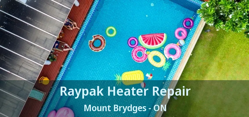 Raypak Heater Repair Mount Brydges - ON Raypak Heater Repair Mount Brydges - ON