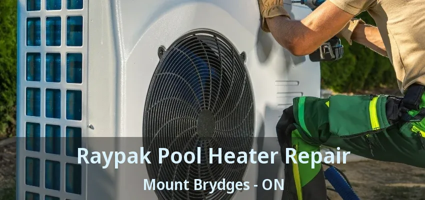 Raypak Pool Heater Repair Mount Brydges - ON Raypak Pool Heater Repair Mount Brydges - ON